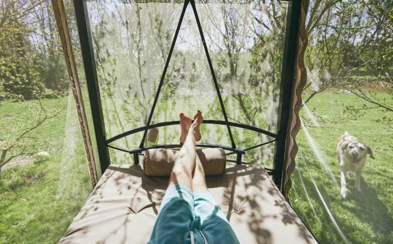 Spring sunny day on the garden. Legs of the resting young man on the swing his dog.